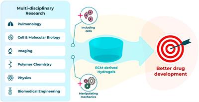 Current possibilities and future opportunities provided by three-dimensional lung ECM-derived hydrogels